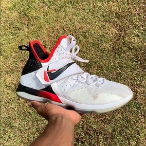 Lebron Basketball shoes